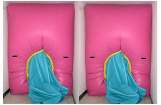 點(diǎn)擊查看詳細(xì)信息<br>標(biāo)題：快速封堵氣囊 閱讀次數(shù)：2753