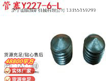 點(diǎn)擊查看詳細(xì)信息<br>標(biāo)題：英格索蘭隔膜泵配件管塞Y227-6-L 閱讀次數(shù)：418