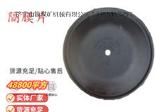 點(diǎn)擊查看詳細(xì)信息<br>標(biāo)題：氣動(dòng)隔膜泵配件-隔膜片 閱讀次數(shù)：344