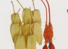 點擊查看詳細(xì)信息<br>標(biāo)題：取氣樣球膽 閱讀次數(shù)：235